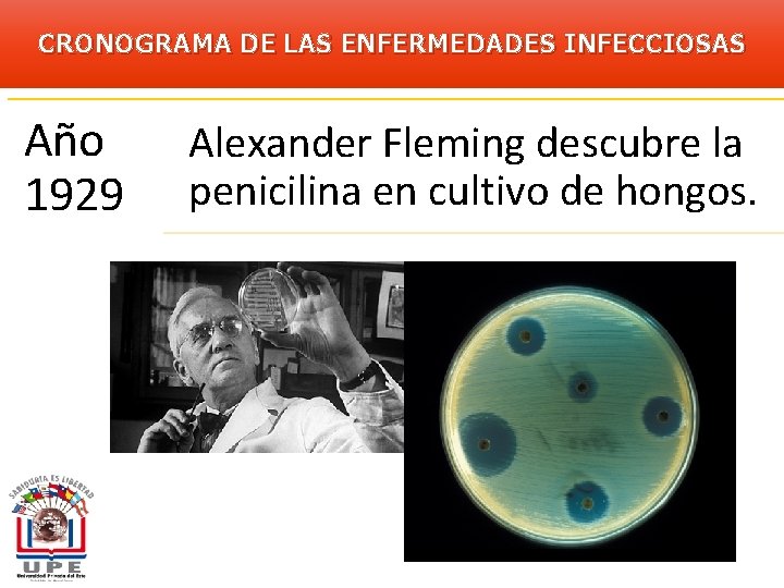 CRONOGRAMA DE LAS ENFERMEDADES INFECCIOSAS Año 1929 Alexander Fleming descubre la penicilina en cultivo