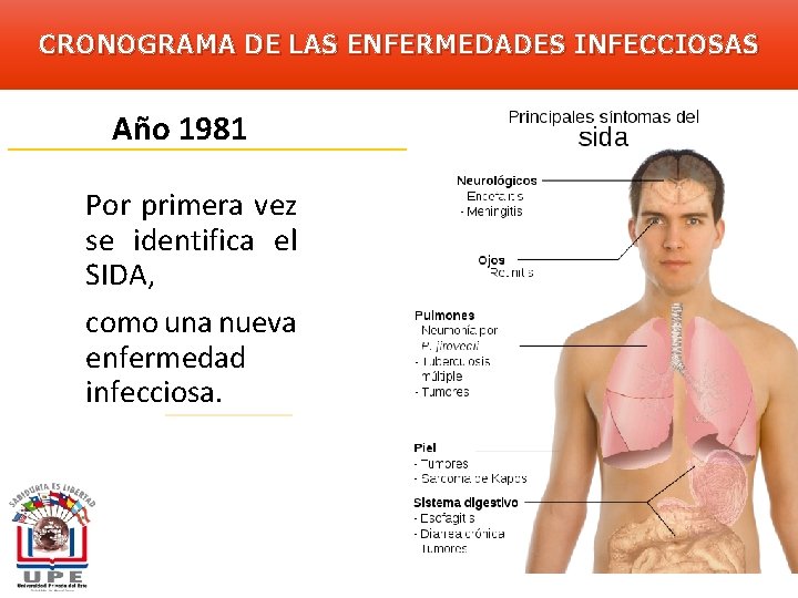 CRONOGRAMA DE LAS ENFERMEDADES INFECCIOSAS Año 1981 Por primera vez se identifica el SIDA,