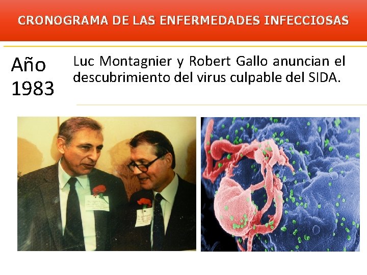 CRONOGRAMA DE LAS ENFERMEDADES INFECCIOSAS Año 1983 Luc Montagnier y Robert Gallo anuncian el