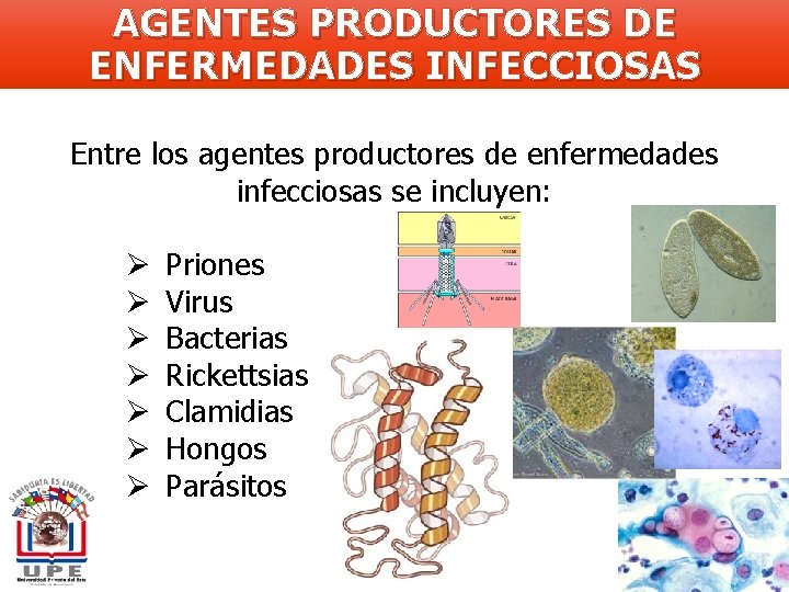 AGENTES PRODUCTORES DE ENFERMEDADES INFECCIOSAS Entre los agentes productores de enfermedades infecciosas se incluyen: