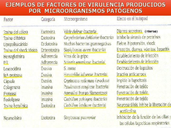 EJEMPLOS DE FACTORES DE VIRULENCIA PRODUCIDOS POR MICROORGANISMOS PATÓGENOS 