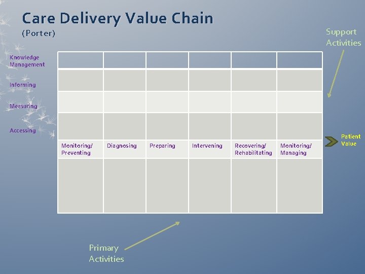 Care Delivery Value Chain Support Activities (Porter) Knowledge Management Informing Measuring Accessing Monitoring/ Preventing