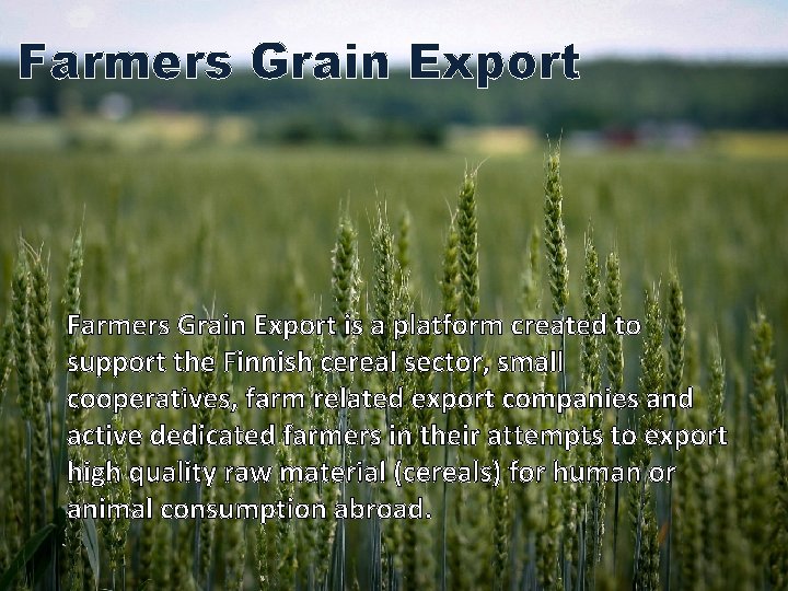 Farmers Grain Export is a platform created to support the Finnish cereal sector, small