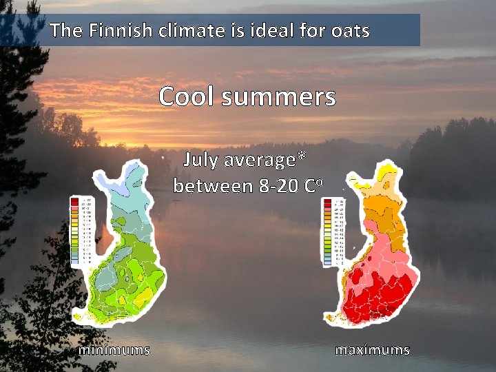 The Finnish climate is ideal for oats Cool summers July average* between 8 -20