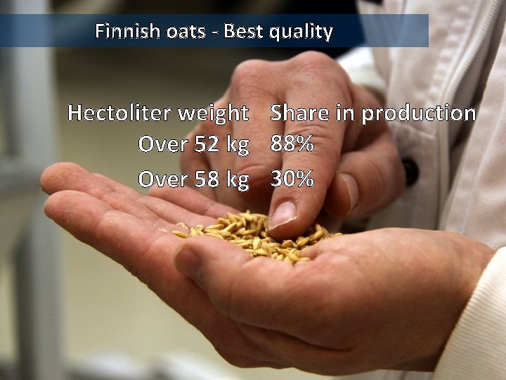 Finnish oats - Best quality Hectoliter weight Share in production Over 52 kg 88%