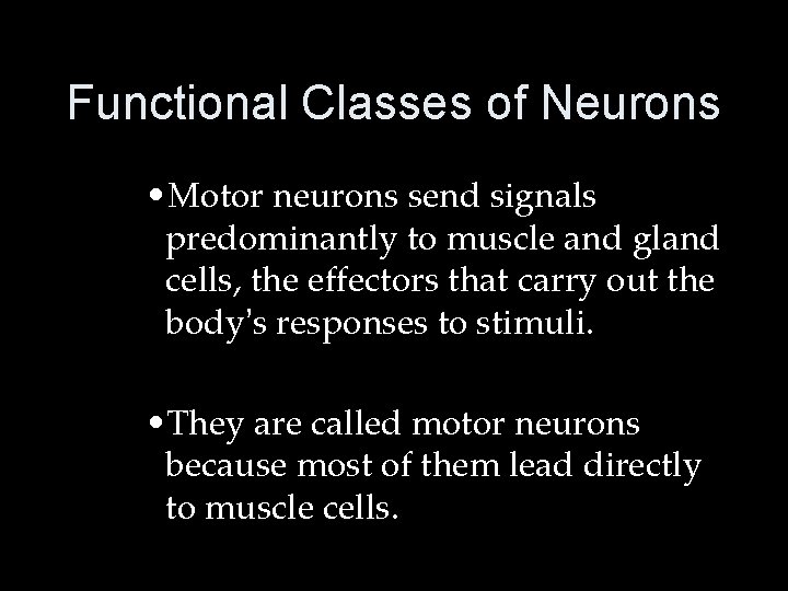 Functional Classes of Neurons • Motor neurons send signals predominantly to muscle and gland
