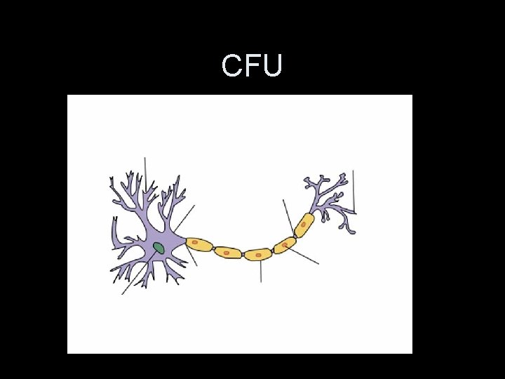 CFU 