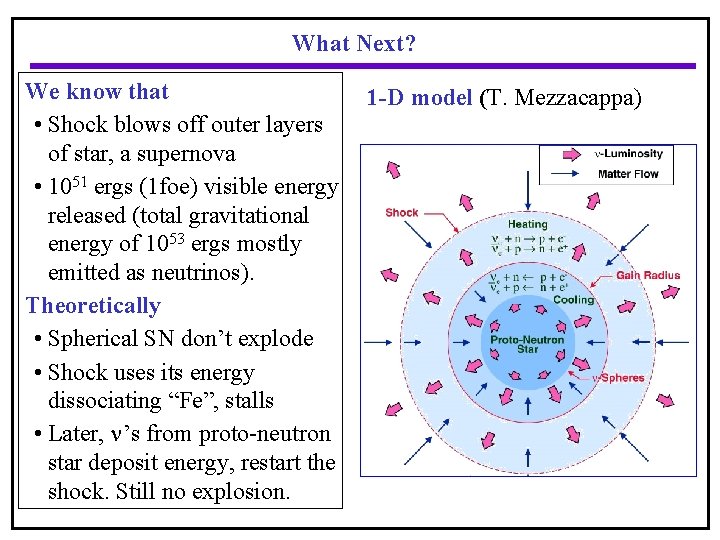 What Next? We know that 1 -D model (T. Mezzacappa) • Shock blows off