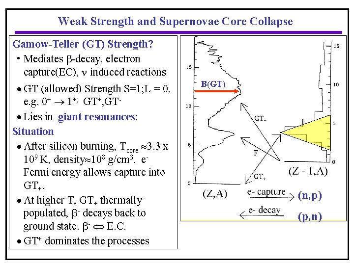 Weak Strength and Supernovae Core Collapse Gamow-Teller (GT) Strength? • Mediates -decay, electron capture(EC),