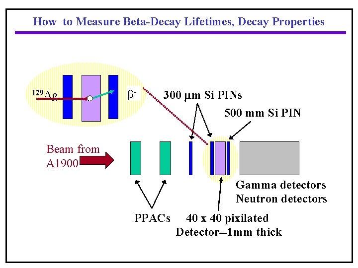 How to Measure Beta-Decay Lifetimes, Decay Properties 129 Ag - 300 mm Si PINs