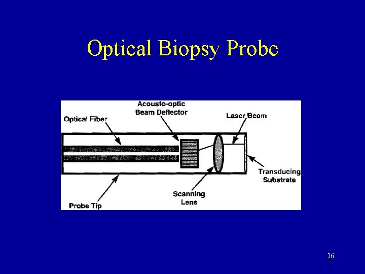 Optical Biopsy Probe 26 
