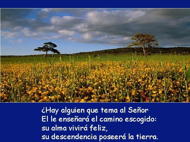 ¿Hay alguien que tema al Señor El le enseñará el camino escogido: su alma ¿Hay alguien que tema al Señor El le enseñará el camino escogido: su alma
