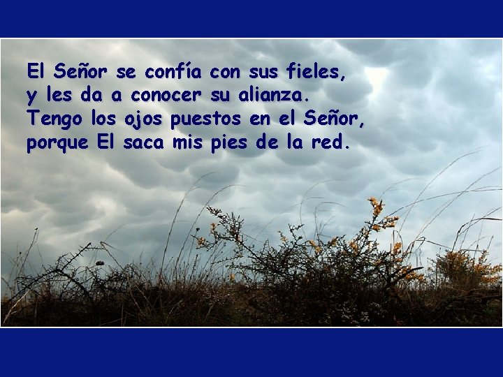 El Señor se confía con sus fieles, y les da a conocer su alianza. El Señor se confía con sus fieles, y les da a conocer su alianza.