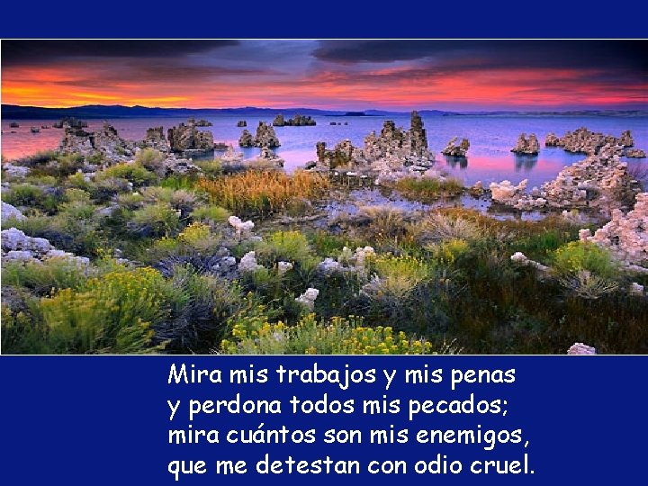 Mira mis trabajos y mis penas y perdona todos mis pecados; mira cuántos son Mira mis trabajos y mis penas y perdona todos mis pecados; mira cuántos son