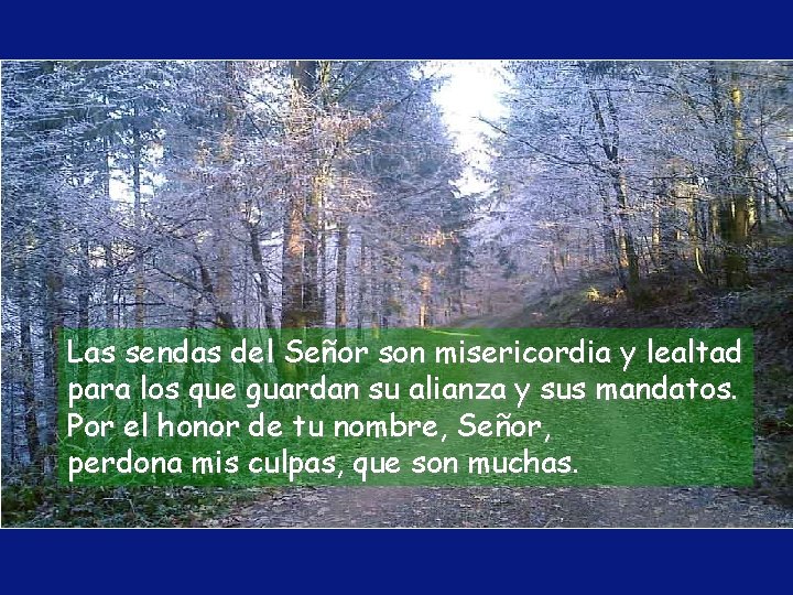 Las sendas del Señor son misericordia y lealtad para los que guardan su alianza Las sendas del Señor son misericordia y lealtad para los que guardan su alianza