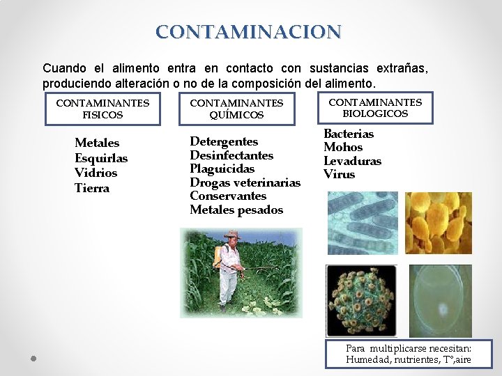 CONTAMINACION Cuando el alimento entra en contacto con sustancias extrañas, produciendo alteración o no