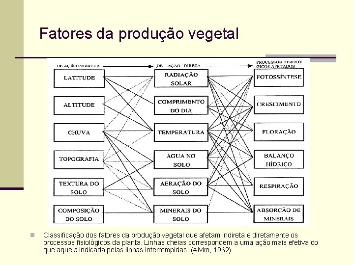Fatores da produção vegetal n Classificação dos fatores da produção vegetal que afetam indireta