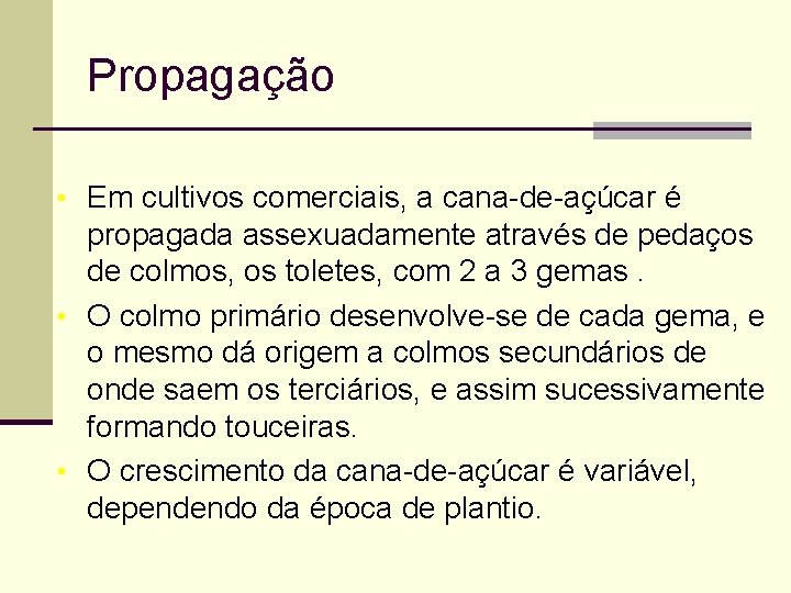 Propagação • Em cultivos comerciais, a cana-de-açúcar é propagada assexuadamente através de pedaços de