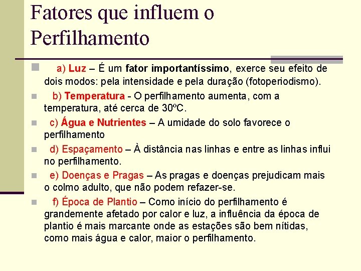 Fatores que influem o Perfilhamento n n n a) Luz – É um fator