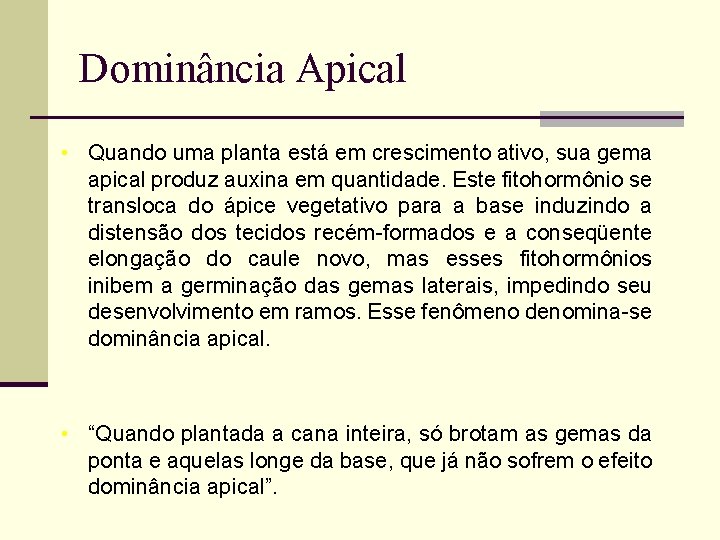 Dominância Apical • Quando uma planta está em crescimento ativo, sua gema apical produz