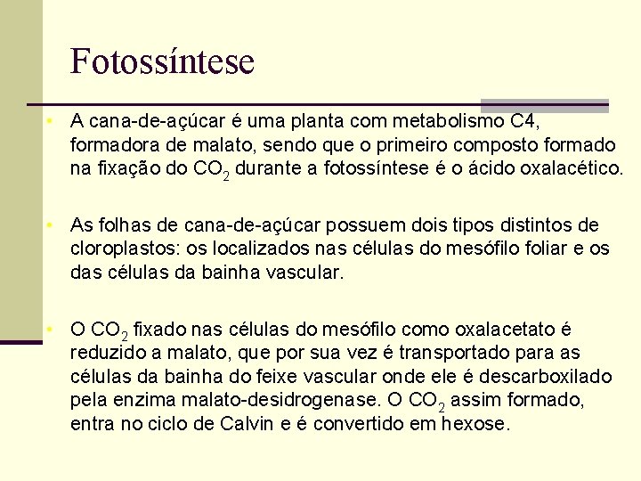 Fotossíntese • A cana-de-açúcar é uma planta com metabolismo C 4, formadora de malato,