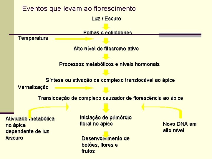 Eventos que levam ao florescimento Luz / Escuro Temperatura Folhas e cotilédones Alto nível