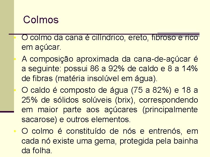 Colmos • O colmo da cana é cilíndrico, ereto, fibroso e rico em açúcar.