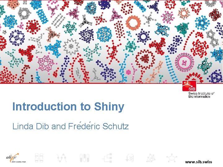 Introduction to Shiny Linda Dib and Fre de ric Schu tz www. sib. swiss
