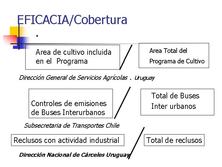 EFICACIA/Cobertura . Area de cultivo incluida en el Programa Area Total del Programa de