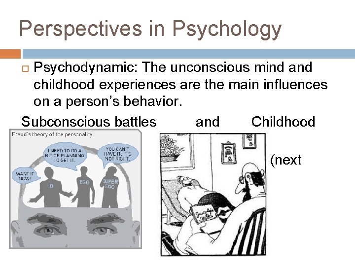 Perspectives in Psychology Psychodynamic: The unconscious mind and childhood experiences are the main influences