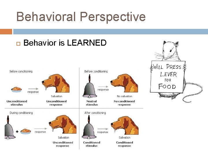 Behavioral Perspective Behavior is LEARNED 