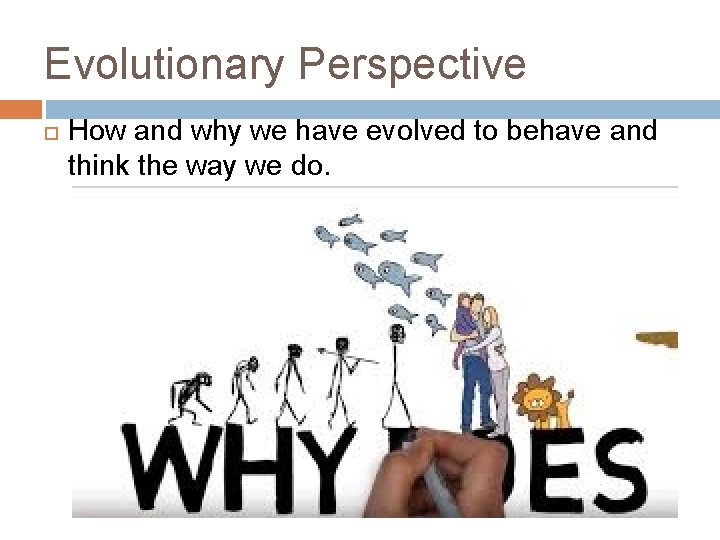 Evolutionary Perspective How and why we have evolved to behave and think the way