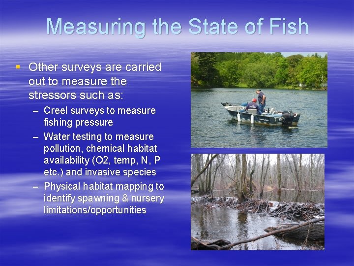 Measuring the State of Fish § Other surveys are carried out to measure the