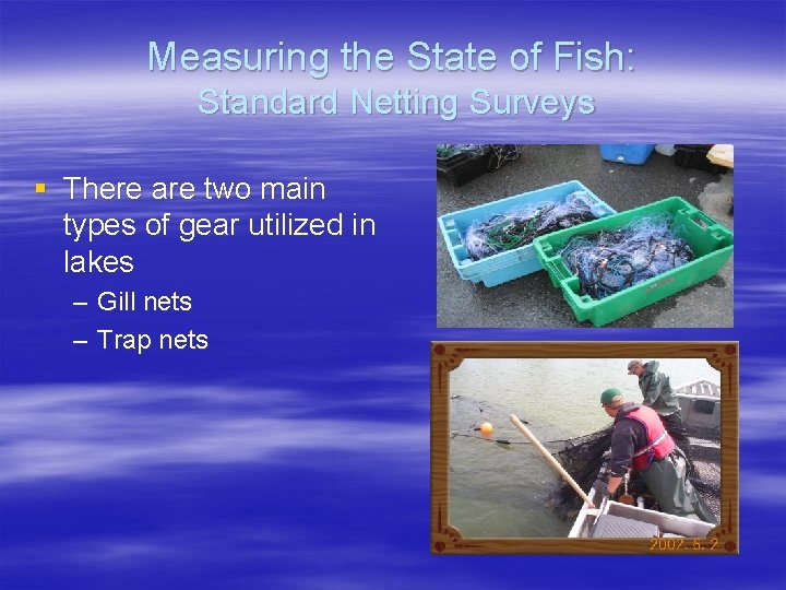 Measuring the State of Fish: Standard Netting Surveys § There are two main types