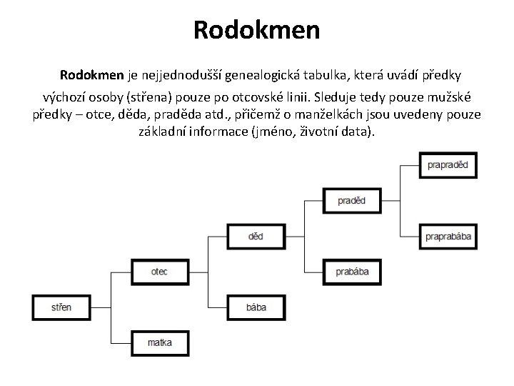 Rodokmen je nejjednodušší genealogická tabulka, která uvádí předky výchozí osoby (střena) pouze po otcovské