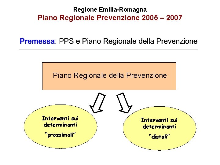 Regione Emilia-Romagna Piano Regionale Prevenzione 2005 – 2007 Piano Regionale della Prevenzione Interventi sui