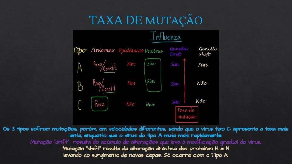 TAXA DE MUTAÇÃO Os 3 tipos sofrem mutações, porém, em velocidades diferentes, sendo que