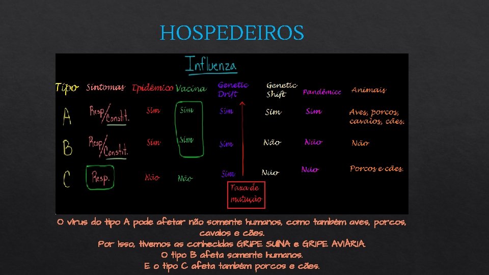 HOSPEDEIROS O vírus do tipo A pode afetar não somente humanos, como também aves,