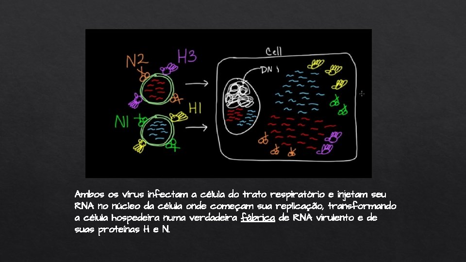 Ambos os vírus infectam a célula do trato respiratório e injetam seu RNA no