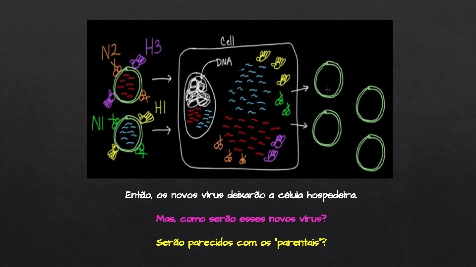 Então, os novos vírus deixarão a célula hospedeira. Mas, como serão esses novos vírus?