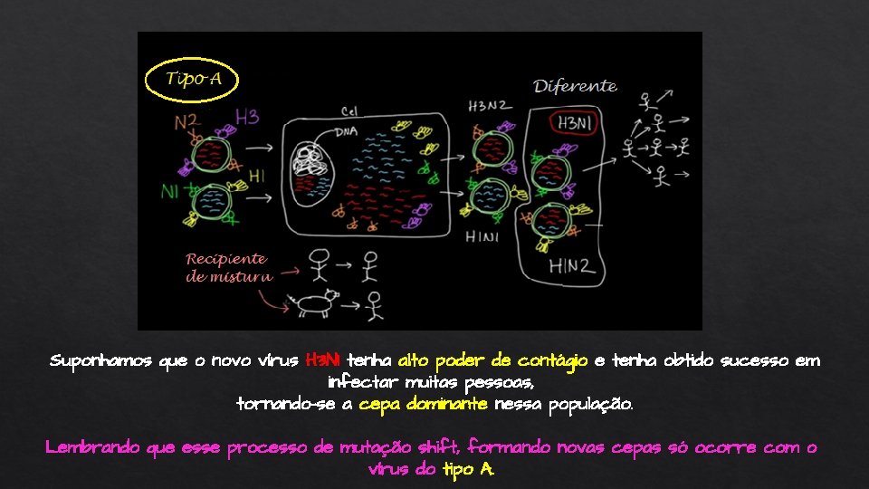 Suponhamos que o novo vírus H 3 N 1 tenha alto poder de contágio