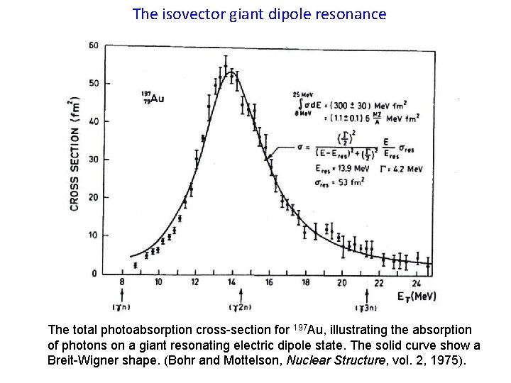 The isovector giant dipole resonance The total photoabsorption cross-section for 197 Au, illustrating the