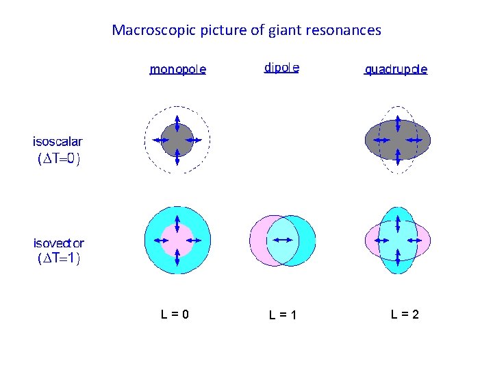 Macroscopic picture of giant resonances L=0 L=1 L=2 