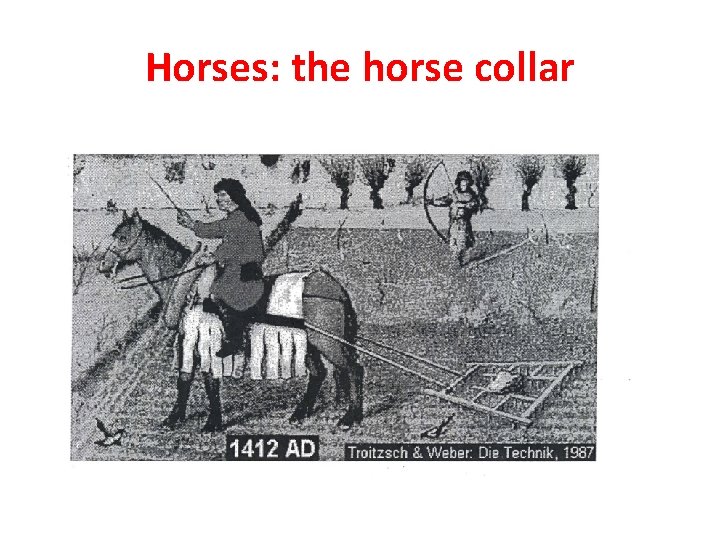 Horses: the horse collar 
