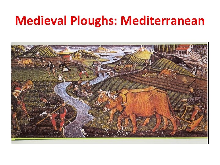 Medieval Ploughs: Mediterranean 