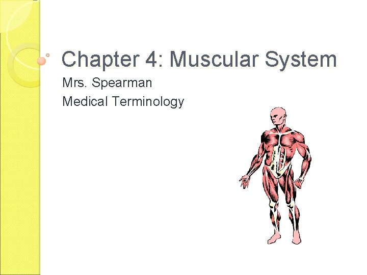 Chapter 4: Muscular System Mrs. Spearman Medical Terminology 