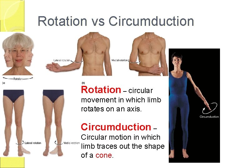 Rotation vs Circumduction Rotation – circular movement in which limb rotates on an axis.