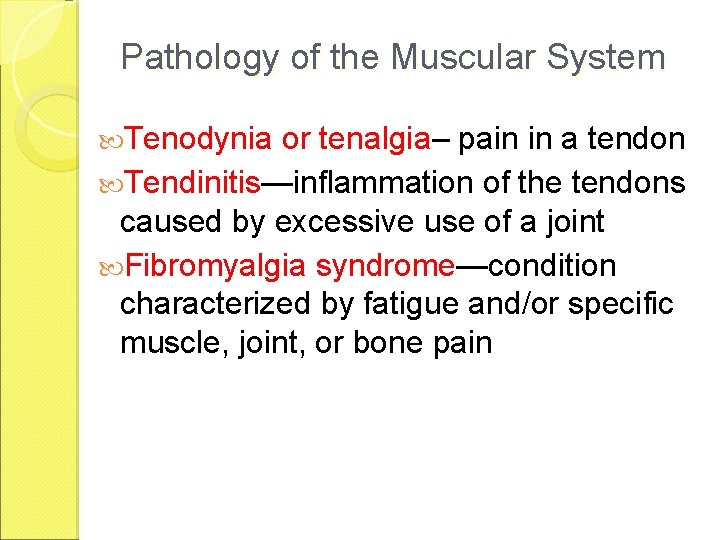Pathology of the Muscular System Tenodynia or tenalgia– pain in a tendon Tendinitis—inflammation of