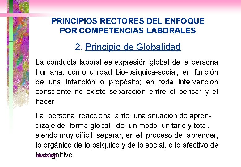 PRINCIPIOS RECTORES DEL ENFOQUE POR COMPETENCIAS LABORALES 2. Principio de Globalidad La conducta laboral