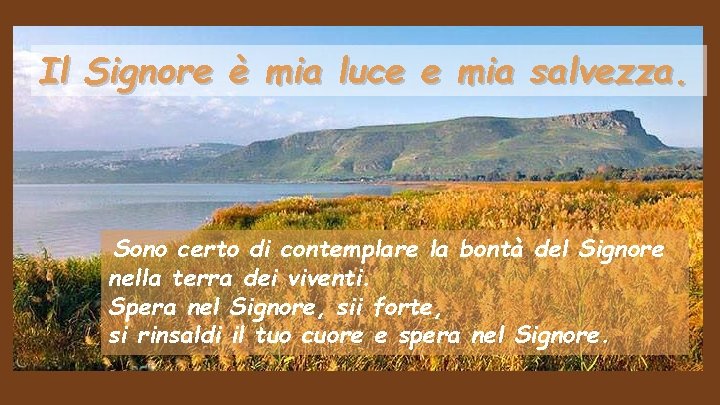 Il Signore è mia luce e mia salvezza. Sono certo di contemplare la bontà